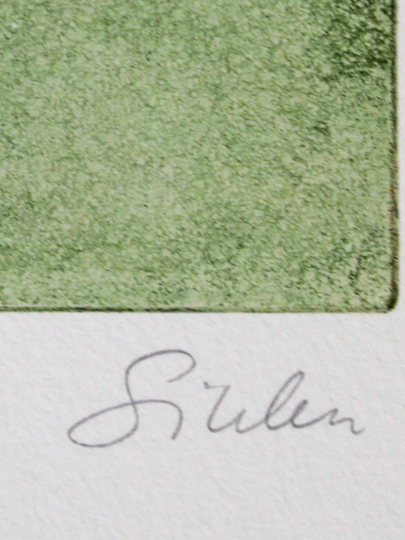 Anne-Marie Sikker Hansen - Lille Prins