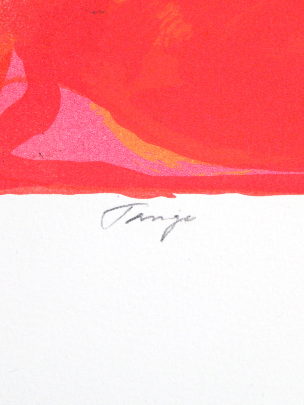 Hans Voigt Steffensen - Tango