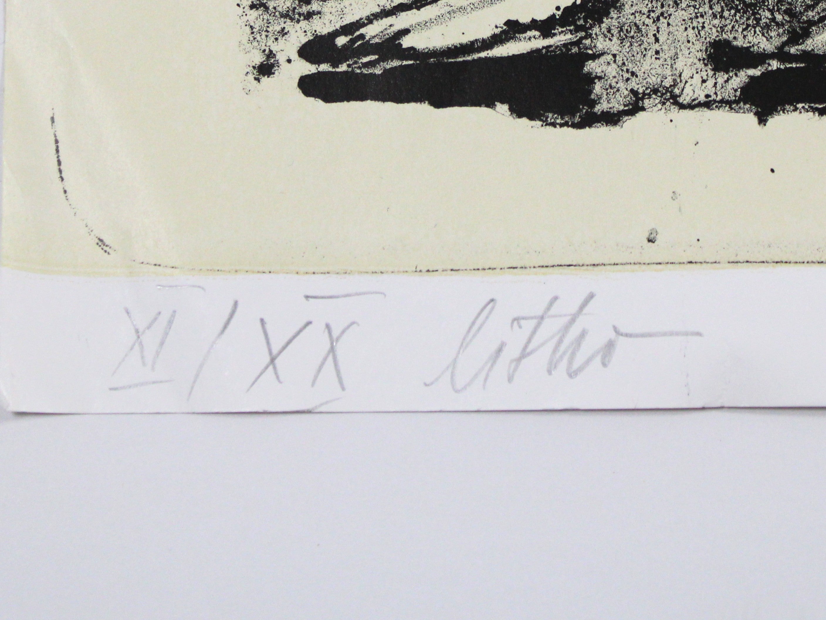 Dodi Romanati – “A lonely horse is nothing”