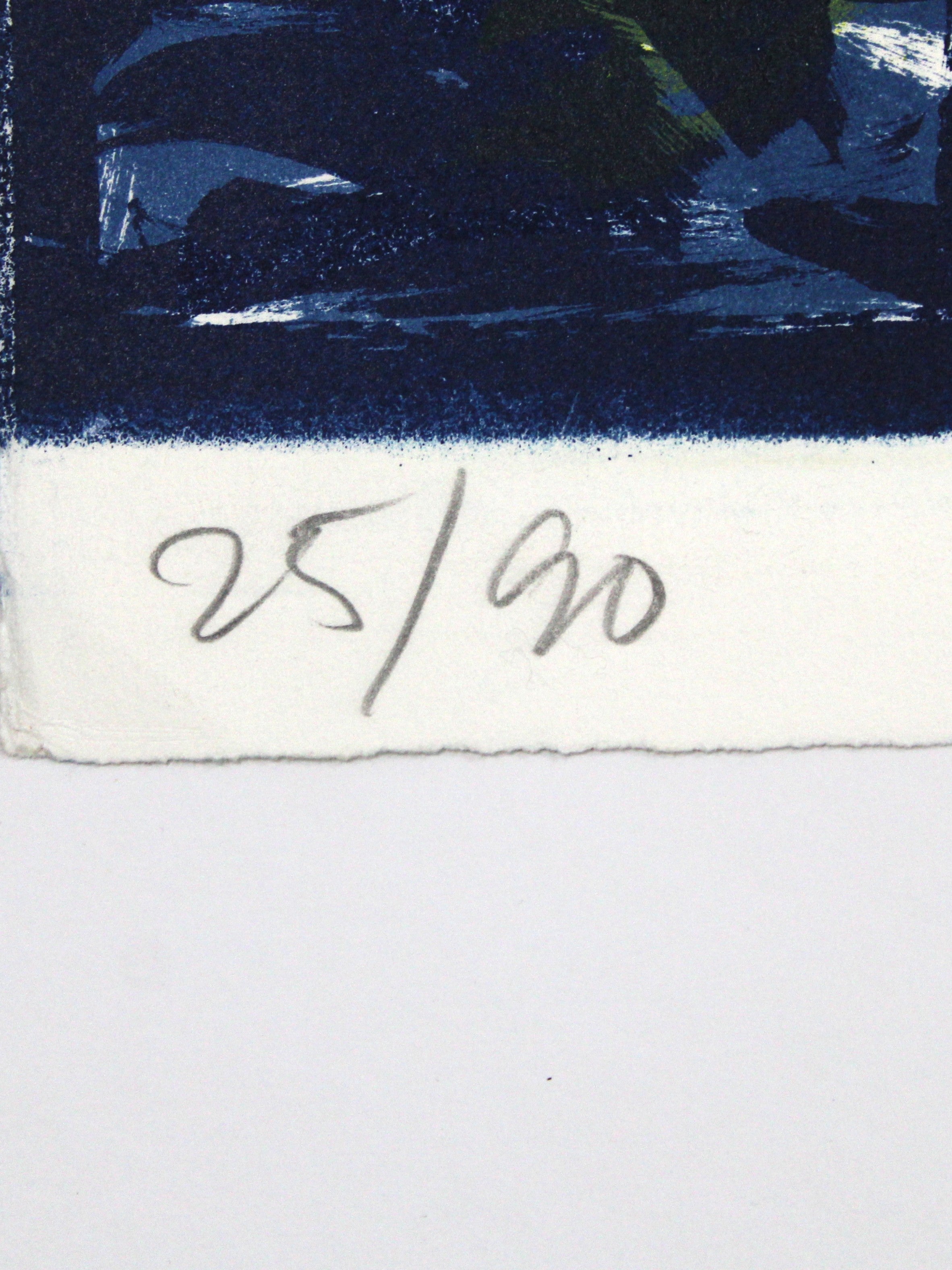 Barry Lereng Wilmont