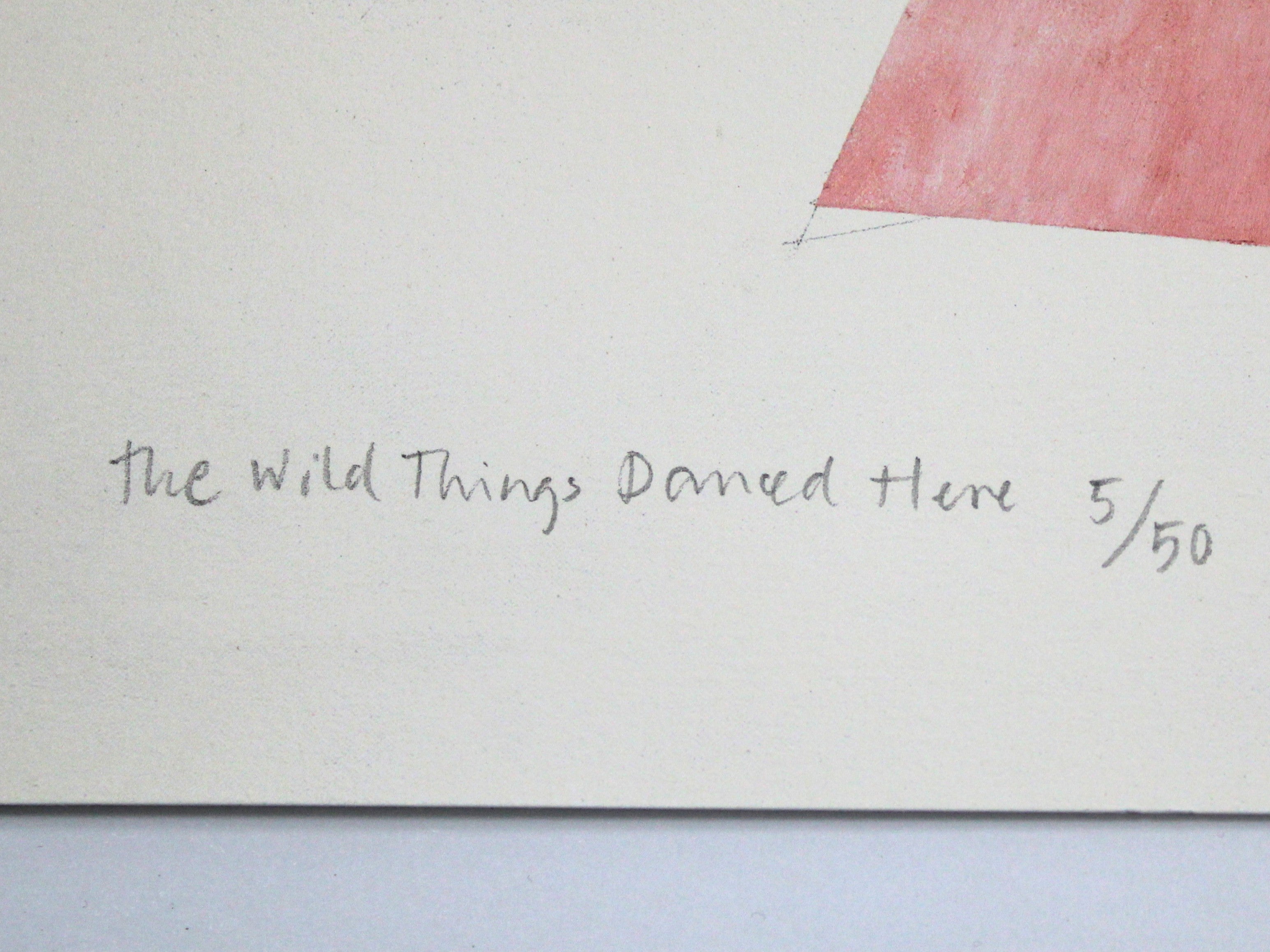 Merete Allen Jensen - The wild things danced here