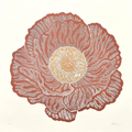 Monika Petersen - French Anemone Terracotta