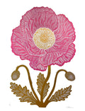 Monika Petersen - French Anemone Pink