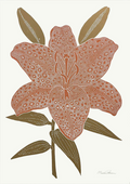 Monika Petersen - Tiger Lily