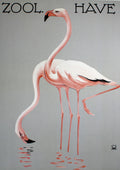 Zoologisk Have - Flamingo