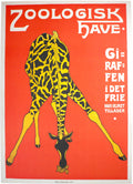 Zoologisk Have - giraf