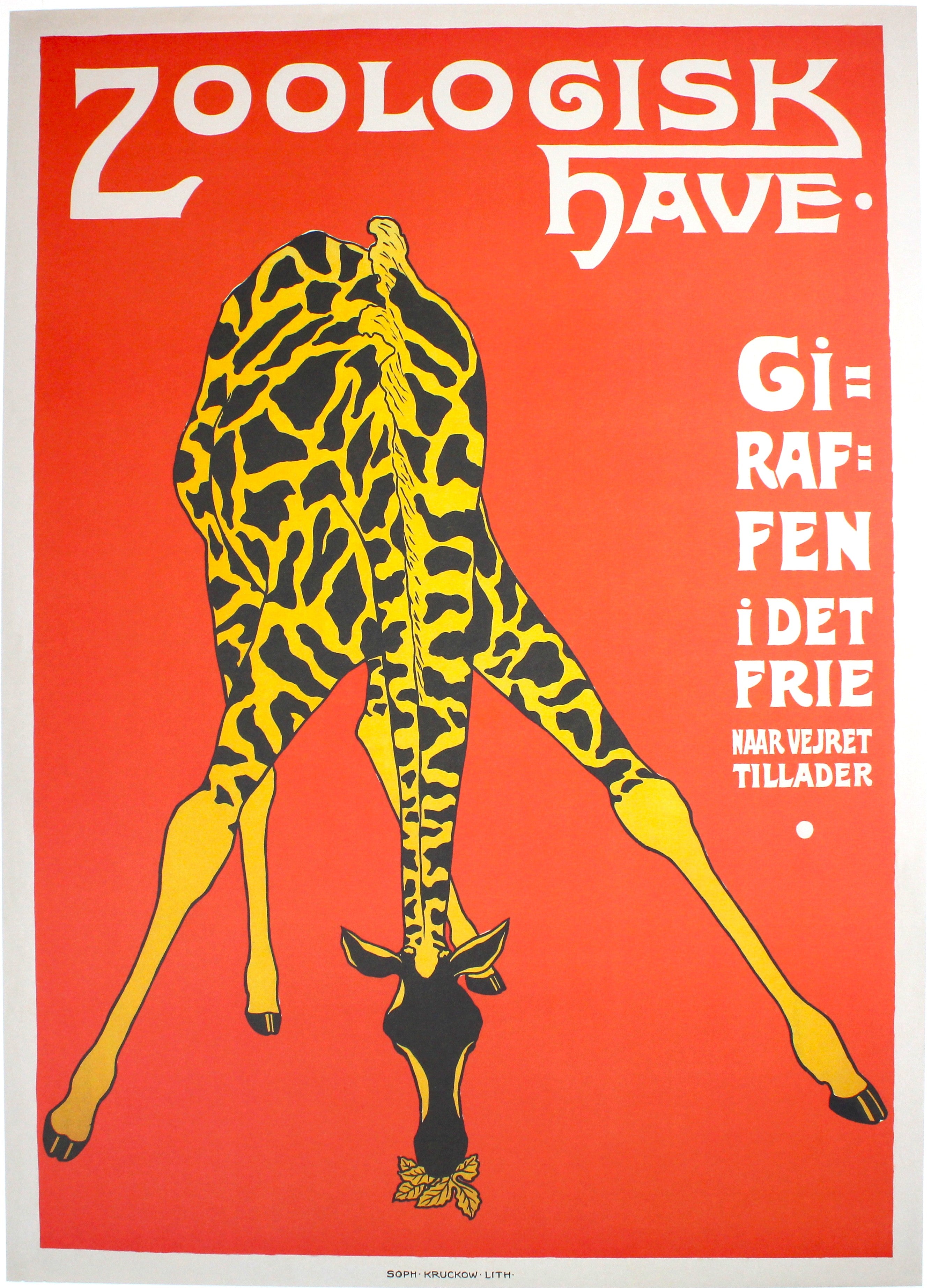 Zoologisk Have - giraf