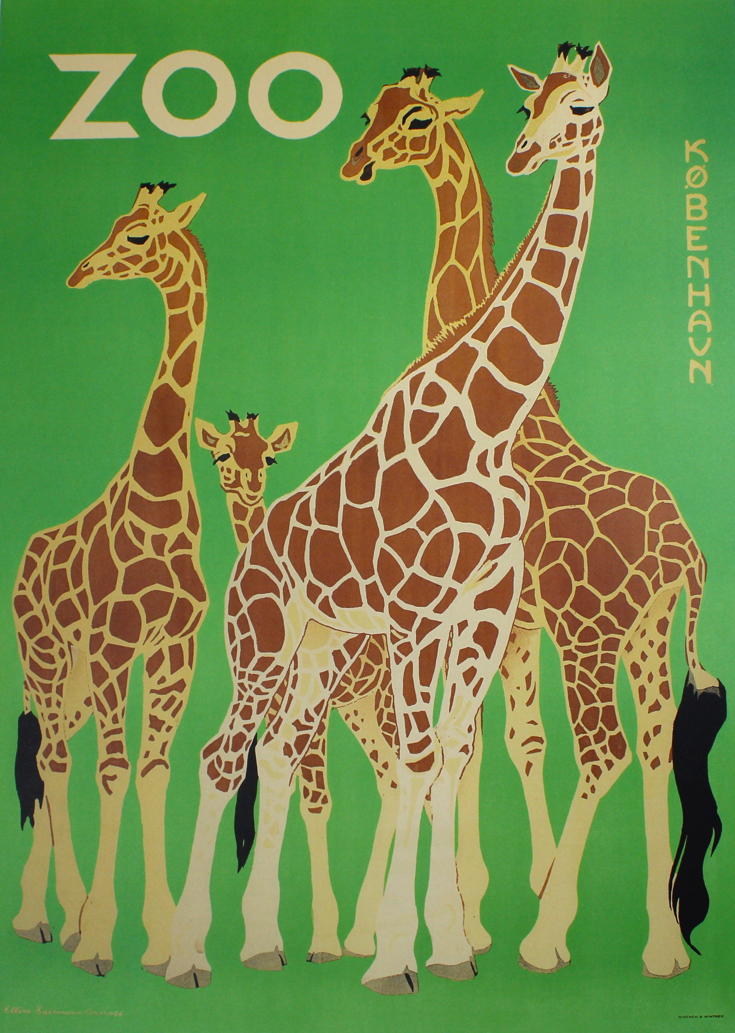 Zoologisk Have - Giraffer