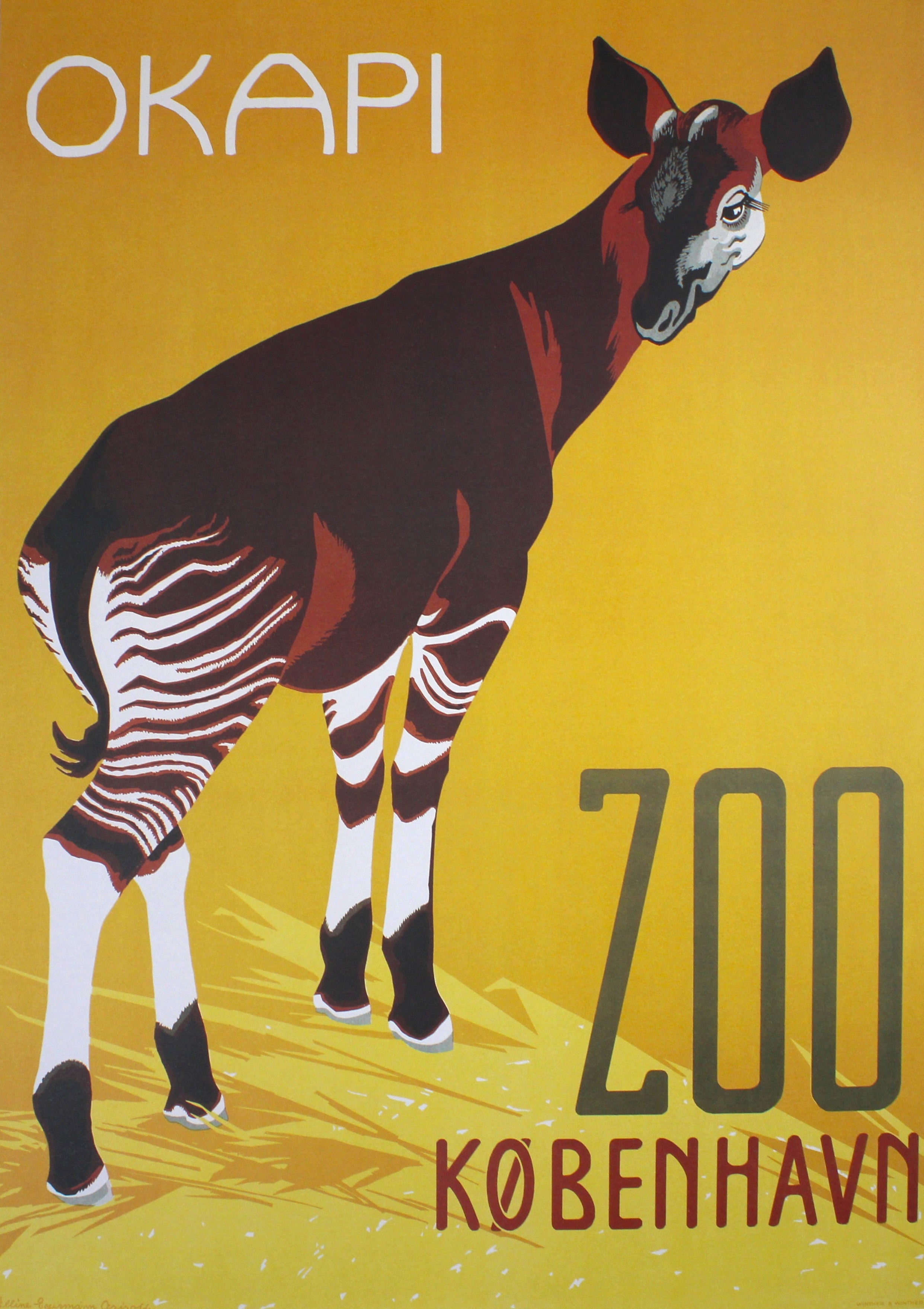 Zoologisk Have - Okapi
