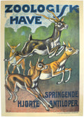 Zoologisk Have - Antiloper