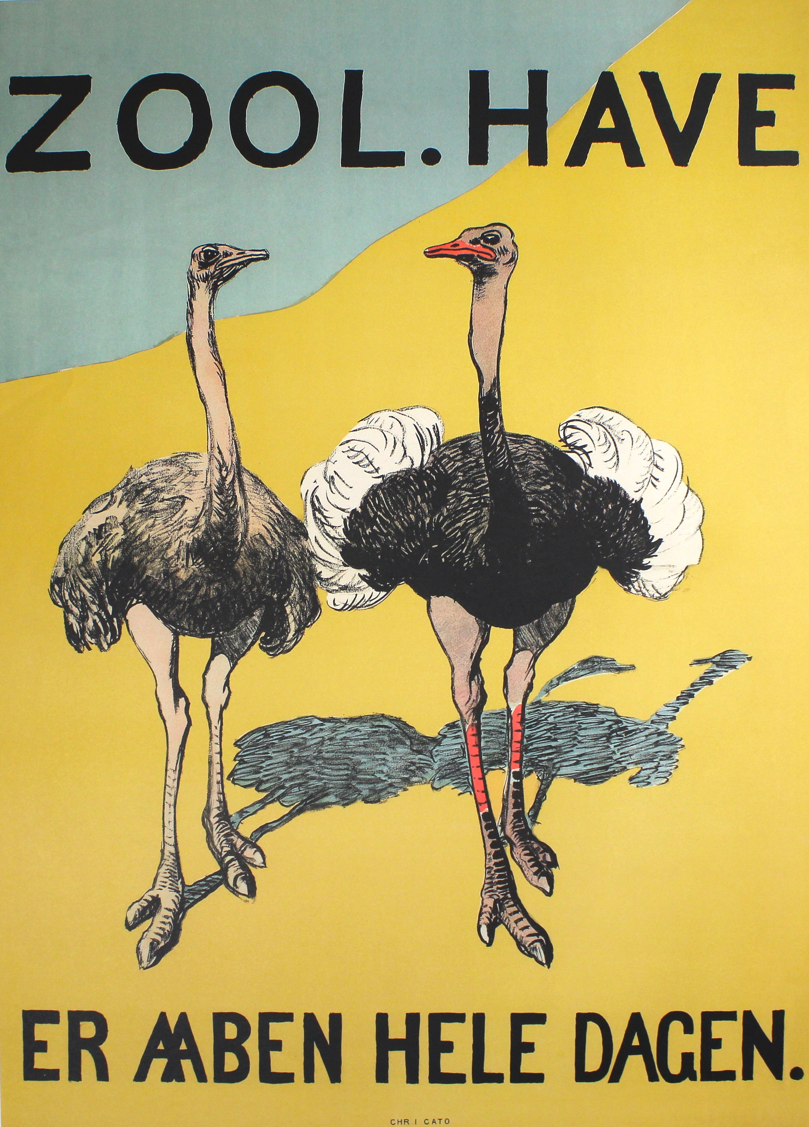 Zoologisk Have - Strudse