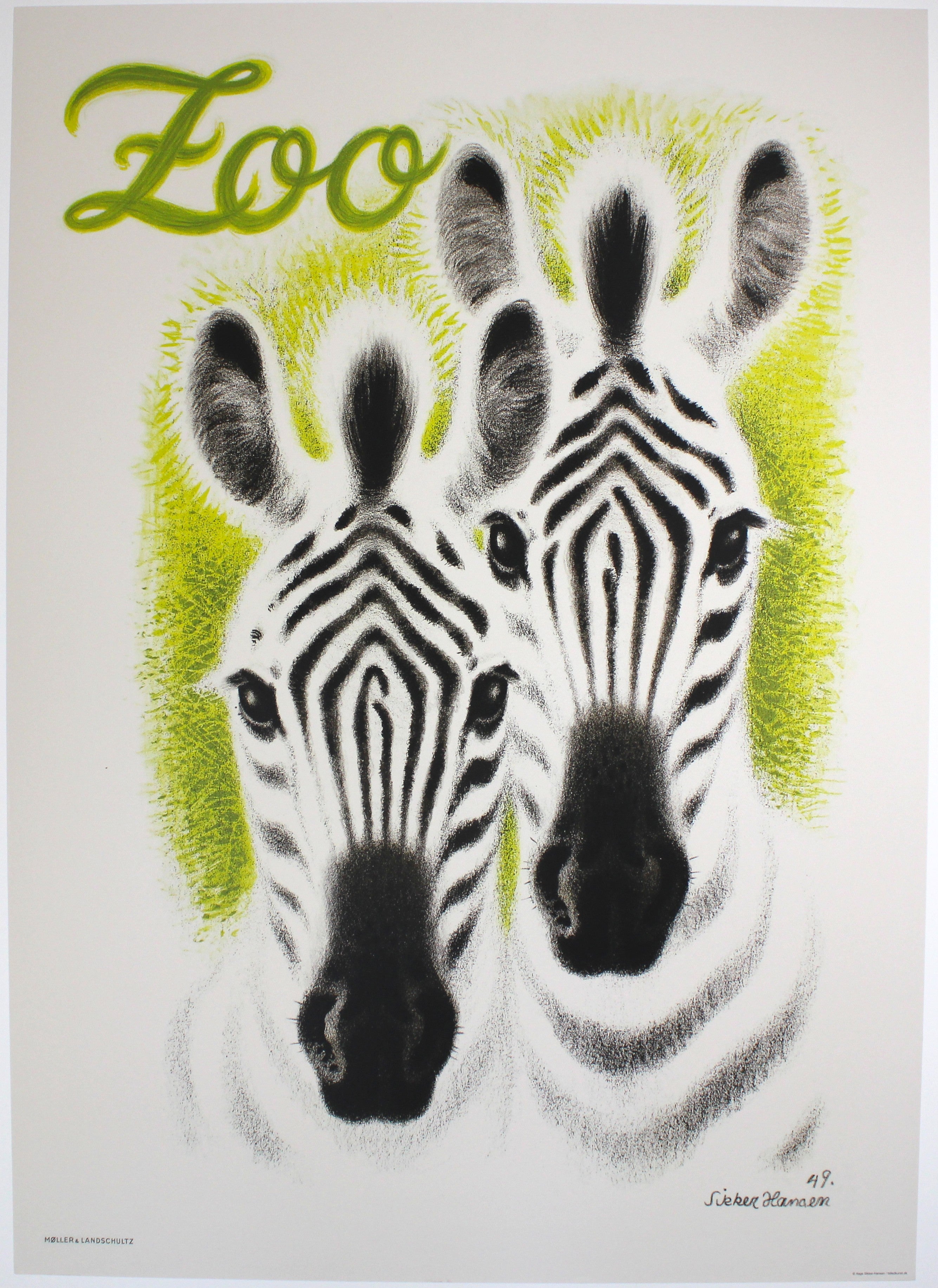 Zoologisk Have - zebra