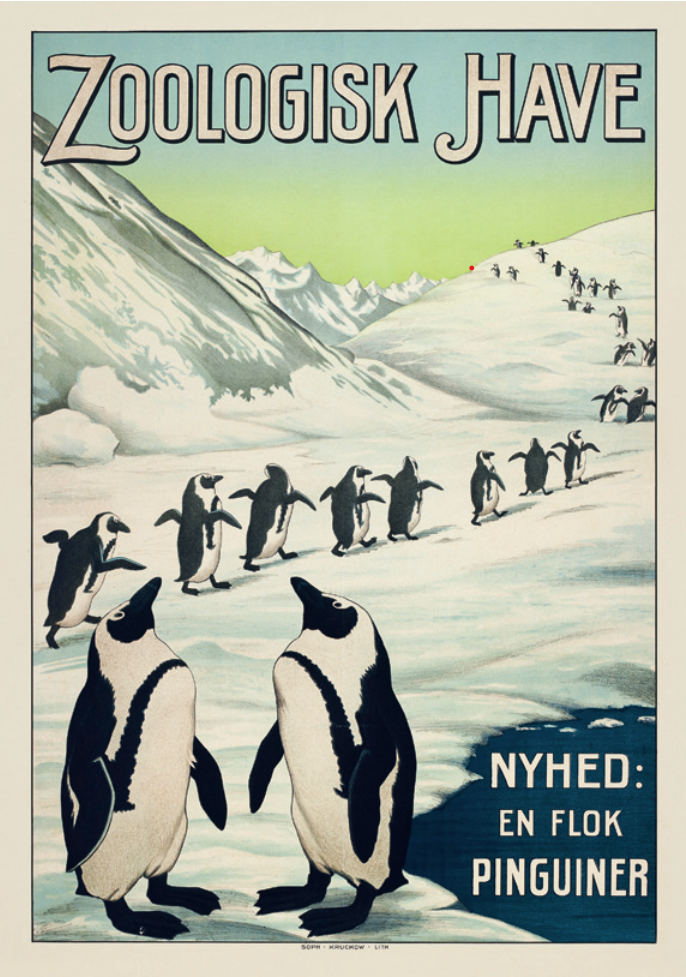 Zoologisk Have - Pingviner